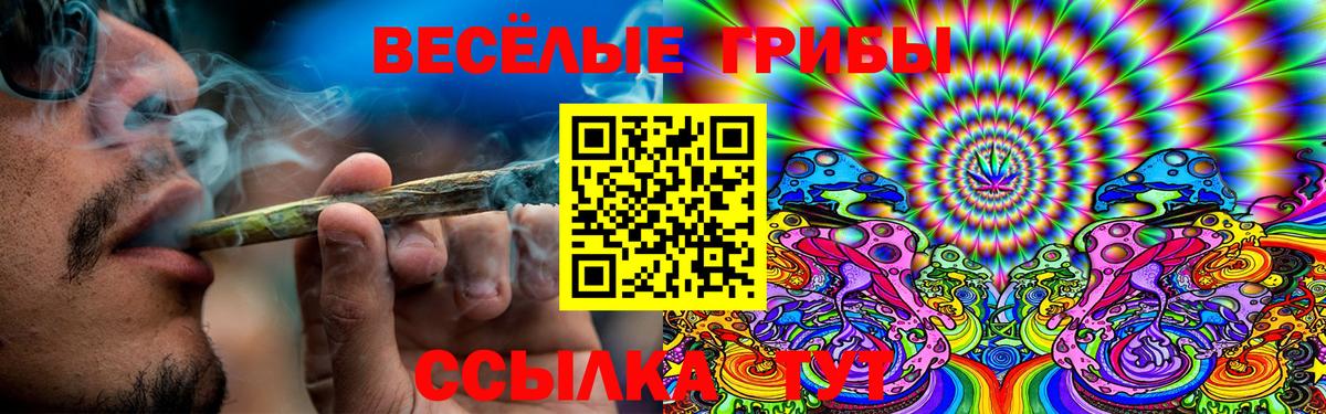 купить наркотики цена  Галлюциногенные грибы Cubensis  Вход с VPN  Галлюциногенные грибы Cubensis  Сегежа 